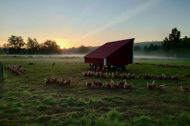 Bild som symboliserar föreningen